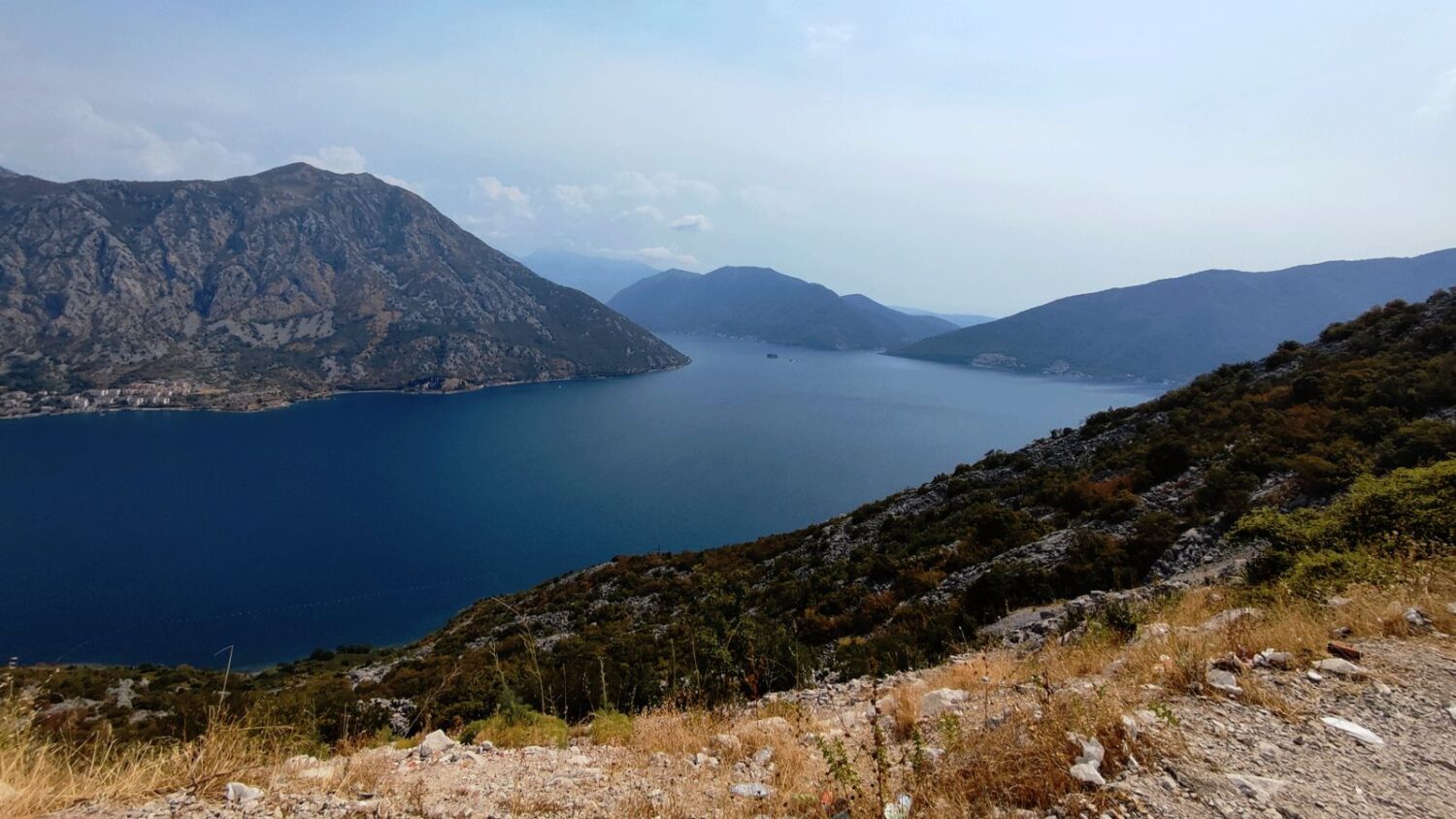 BOKA KOTORSKA